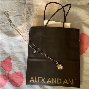 Adjustable Alex & Ani Compass Necklace